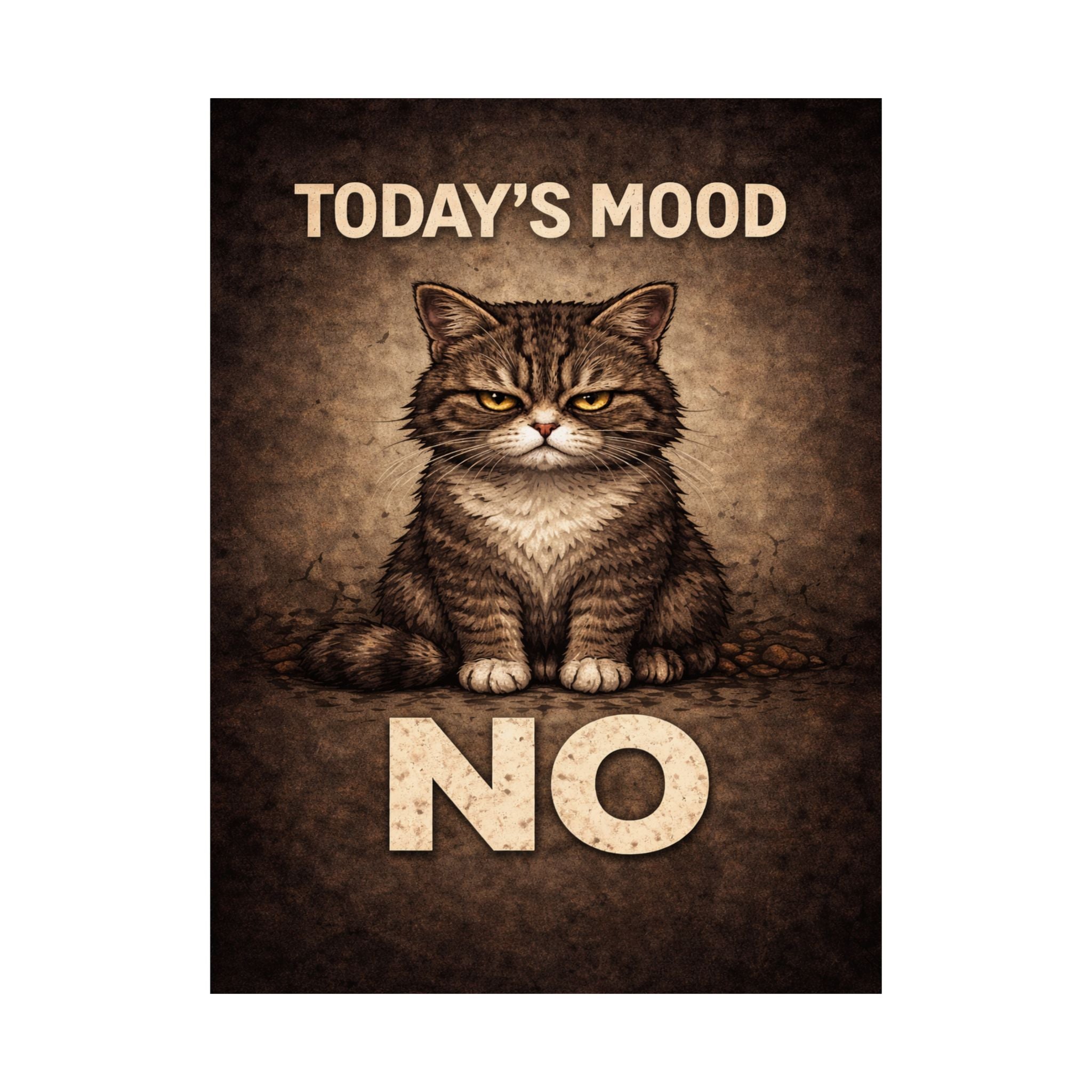 Today’s Mood: NO | Funny Grumpy Cat Poster | Sarcastic Wall Art